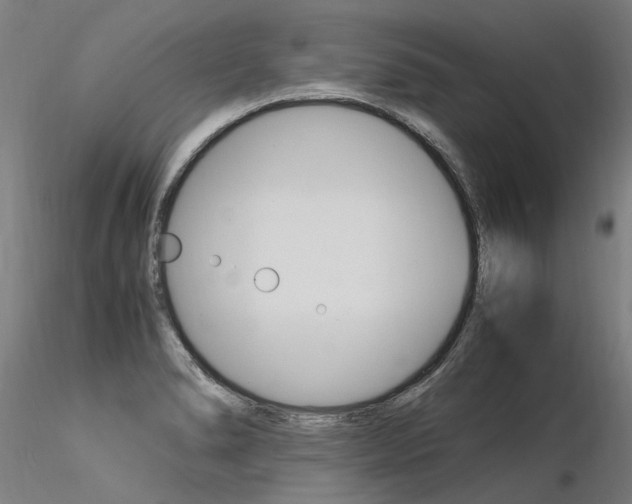 X0000116371278200912021001