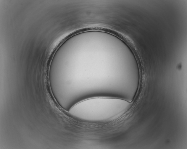 X0000116371279200912021001
