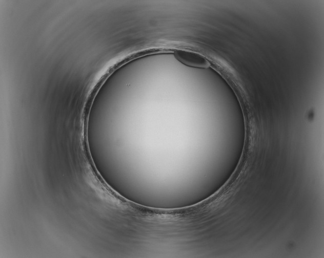 X0000116371280200912021001