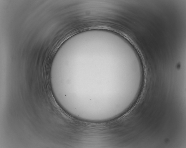 X0000116371281200912021001