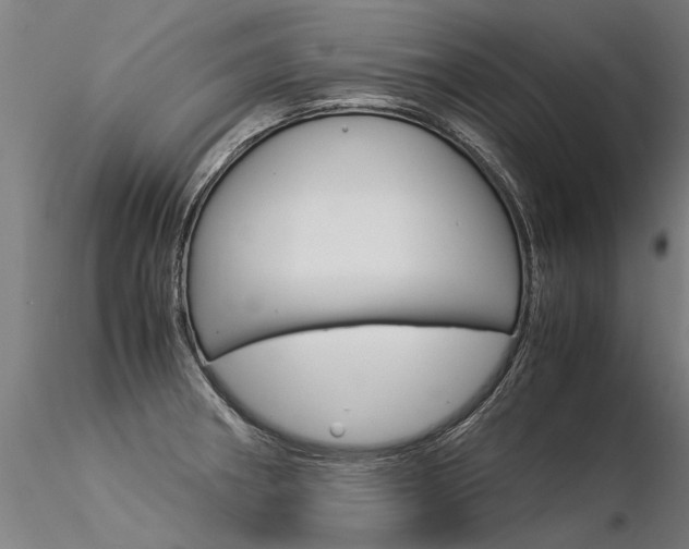 X0000116371282200912021001