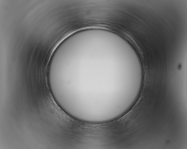 X0000116371284200912021001