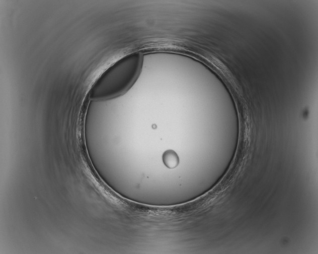 X0000116371285200912021001