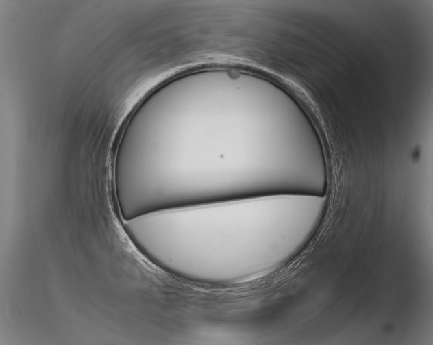 X0000116371287200912021001