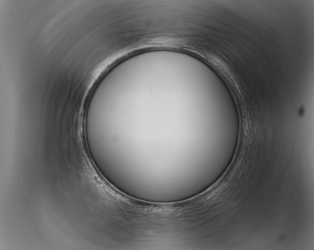 X0000116371288200912021001