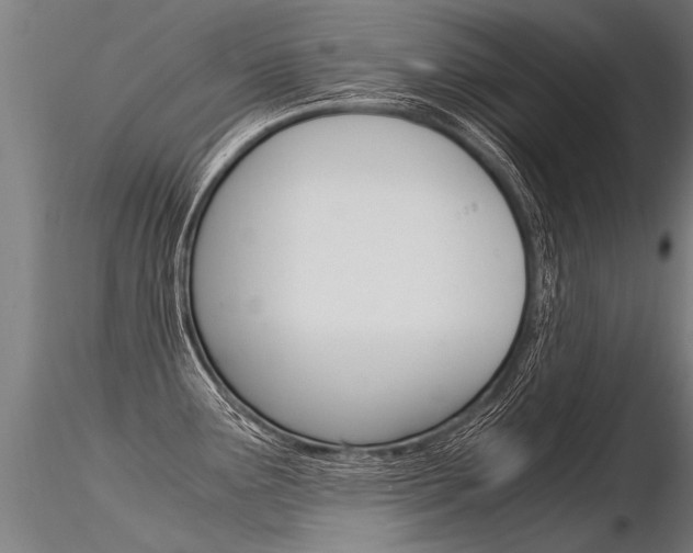 X0000116371291200912021001