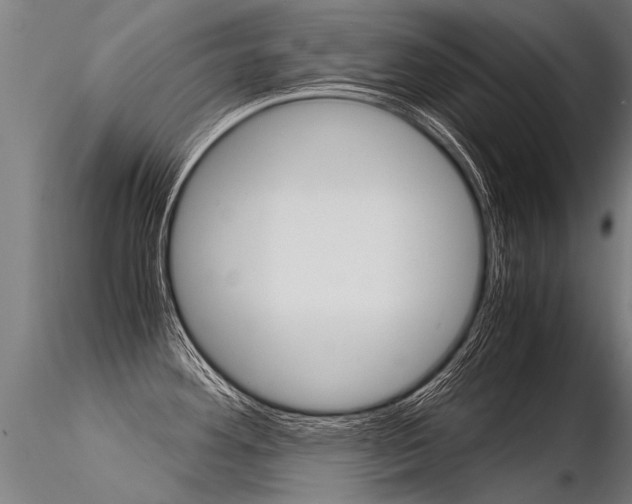 X0000116371292200912021001