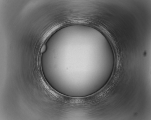 X0000116371293200912021001