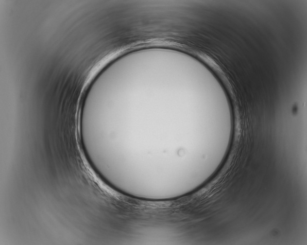 X0000116371294200912021001