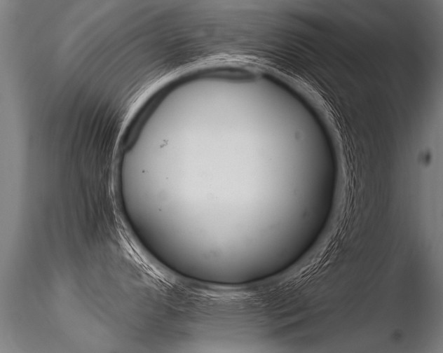 X0000116371296200912021001