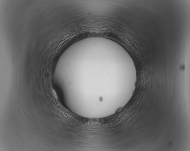 X0000116371297200912021000