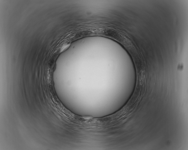 X0000116371298200912021000