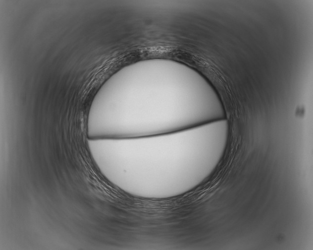X0000116371299200912021000