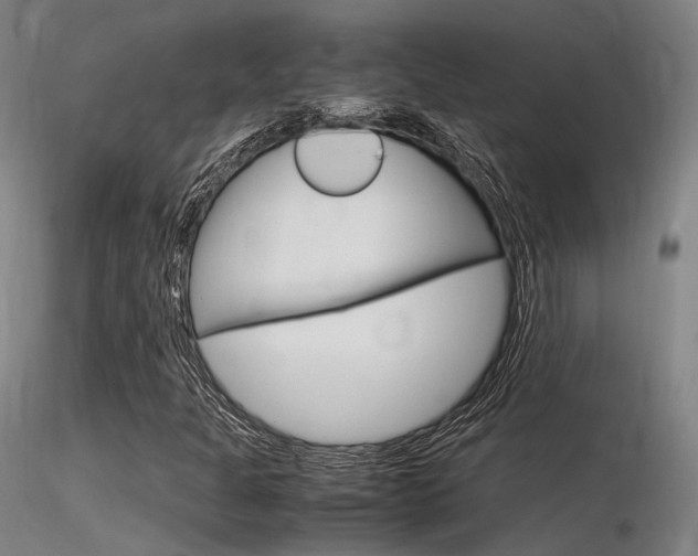 X0000116371301200912021000