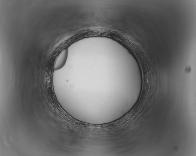 X0000116371302200912021000