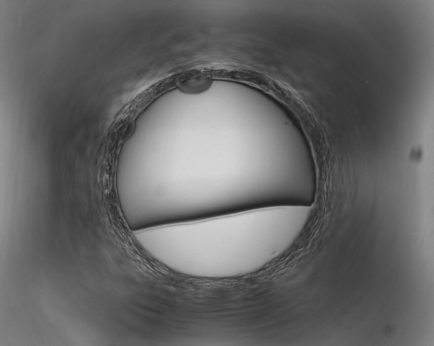 X0000116371303200912021000