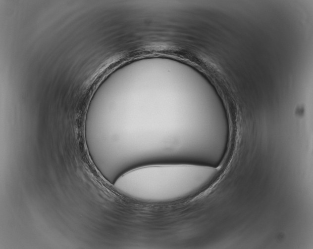 X0000116371305200912021000