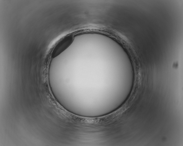 X0000116371310200912021000