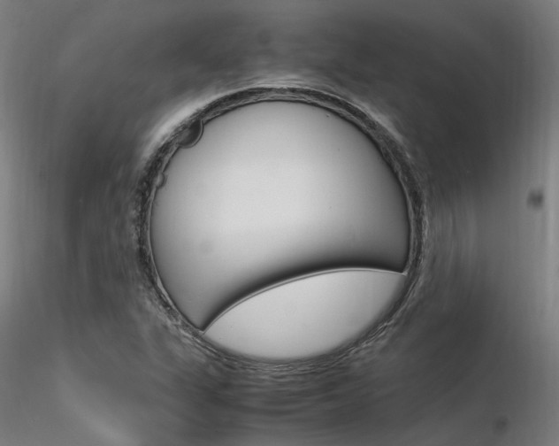 X0000116371311200912021000