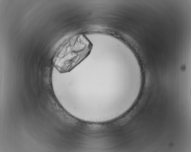 X0000116371314200912021000