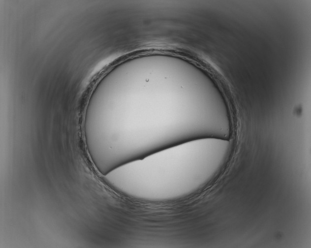 X0000116371315200912021000