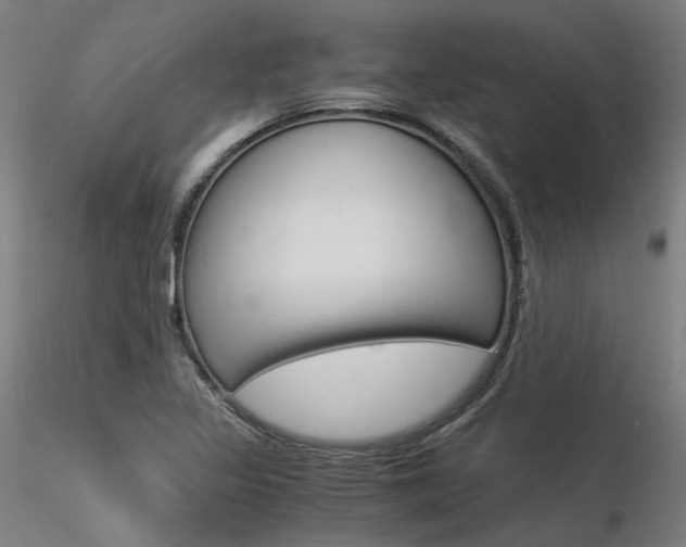 X0000116371317200912021000