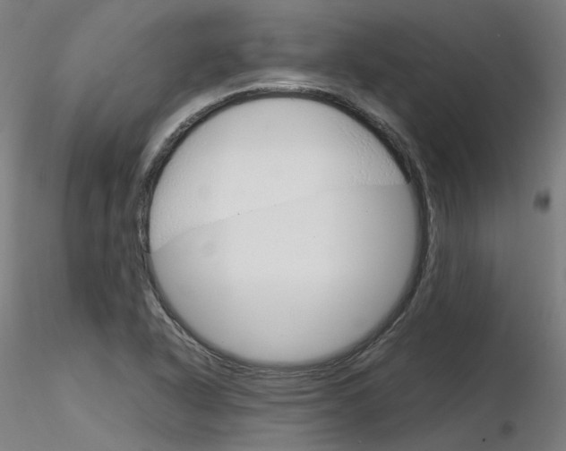 X0000116371318200912021000