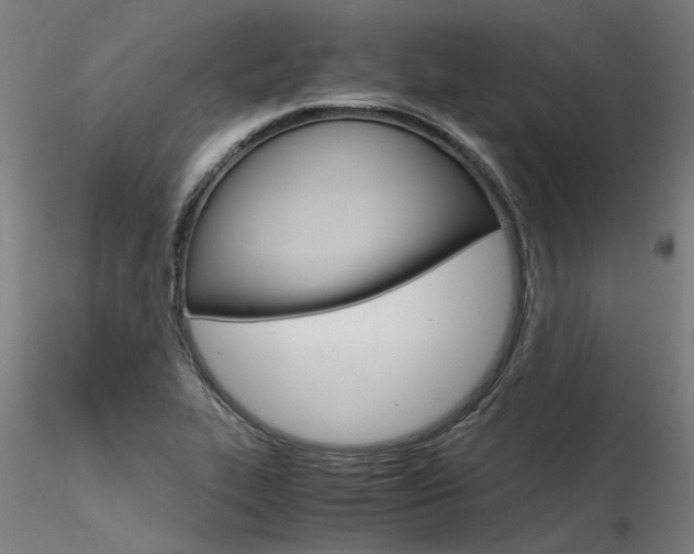 X0000116371319200912021000