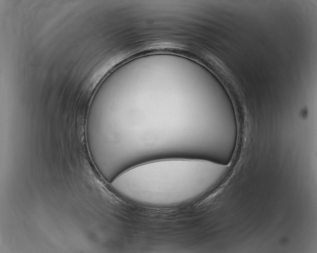 X0000116371321200912021000