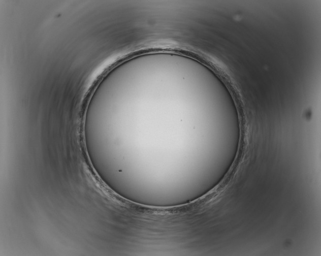 X0000116371326200912021001