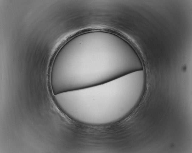 X0000116371327200912021001