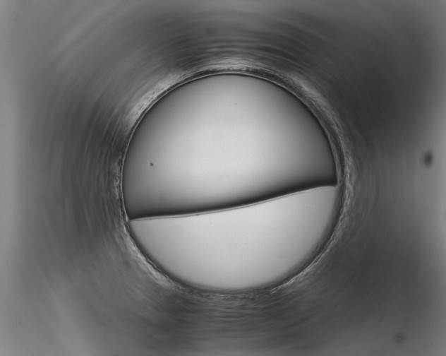 X0000116371329200912021001
