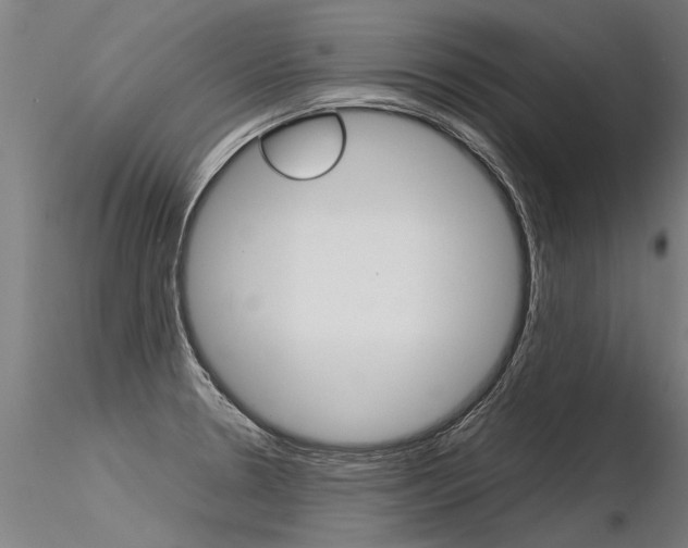 X0000116371330200912021001