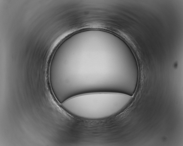 X0000116371331200912021001