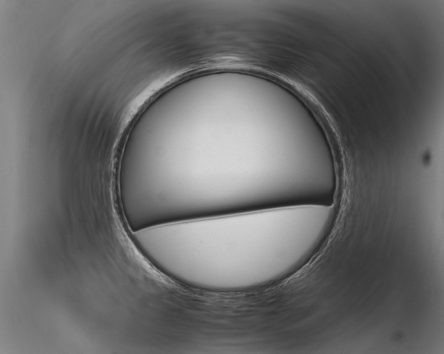 X0000116371333200912021001
