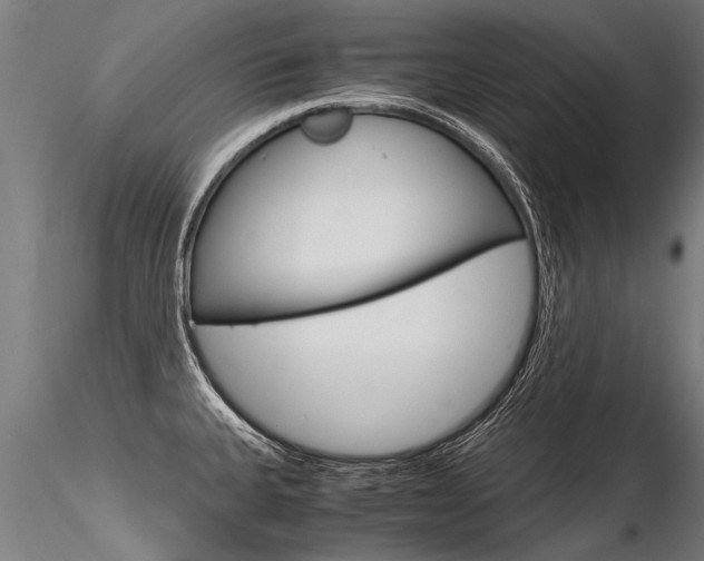 X0000116371335200912021001