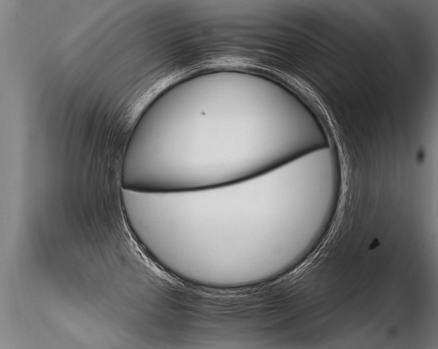 X0000116371337200912021001