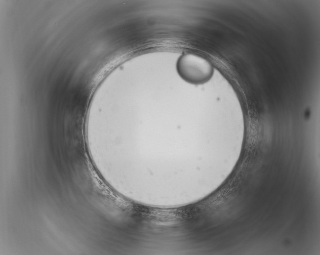 X0000116371338200912021001