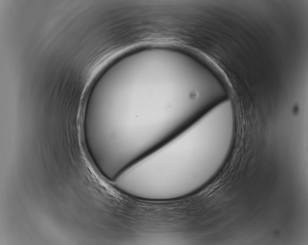 X0000116371343200912021001
