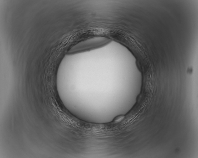 X0000116371345200912021000