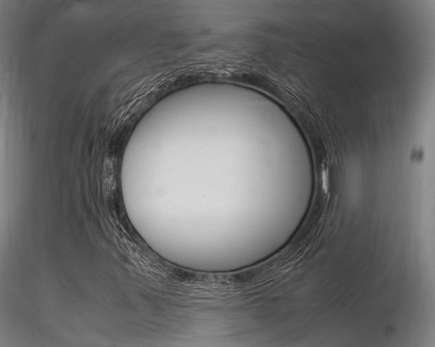 X0000116371347200912021000