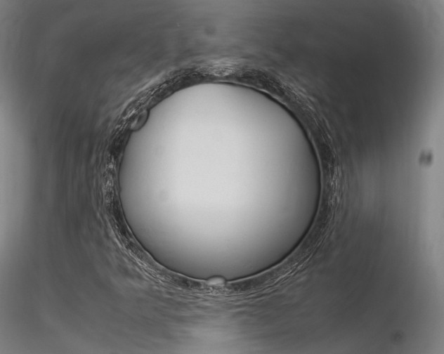 X0000116371349200912021000