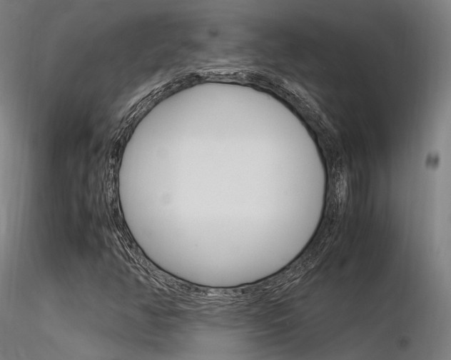 X0000116371350200912021000