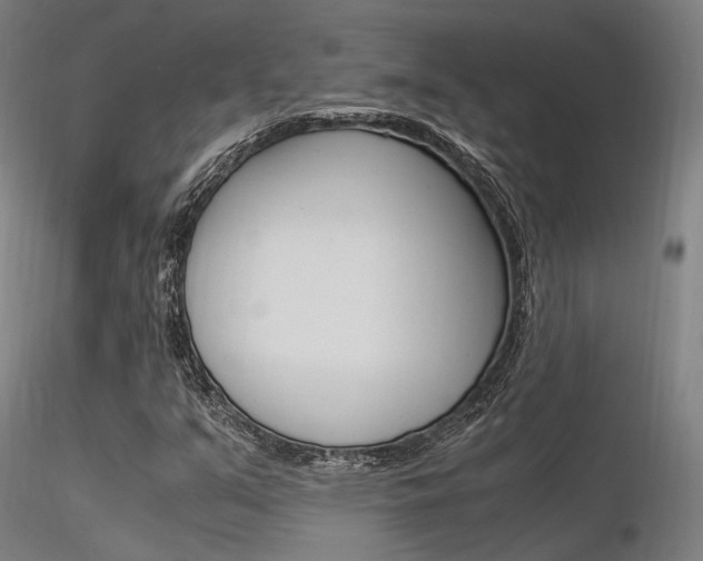 X0000116371351200912021000