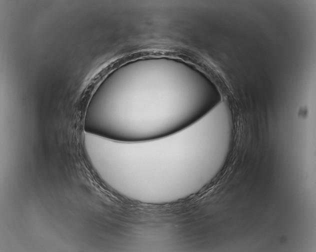 X0000116371352200912021000