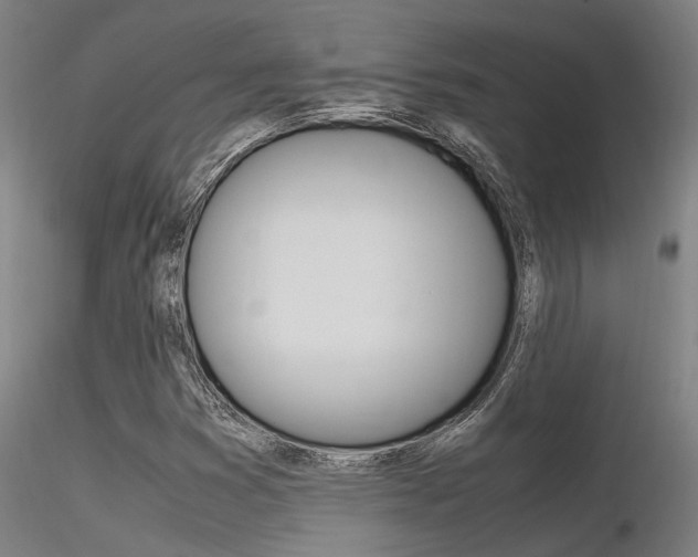 X0000116371353200912021000