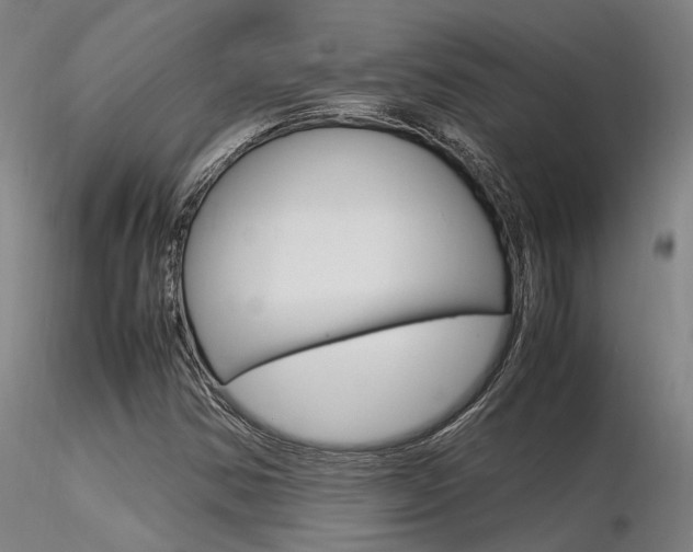 X0000116371354200912021000