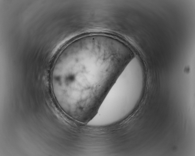 X0000116371356200912021000