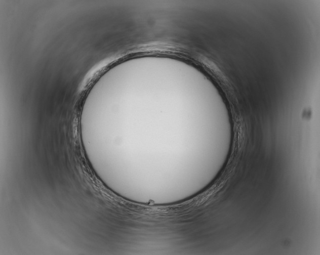 X0000116371358200912021000