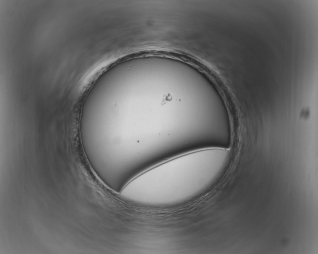 X0000116371359200912021000